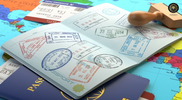 Vize ve Uluslararası Süreç Danışmanlığı